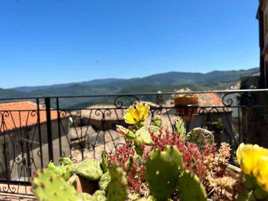 La Terrazza Sui Nebrodi Apartment Mistretta ภายนอก รูปภาพ